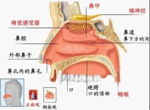 結構圖