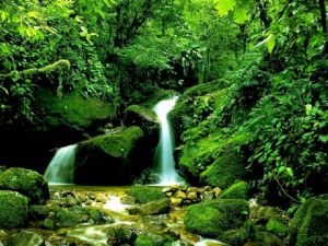 綿陽聖水寺