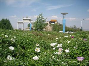 金牛山生態園