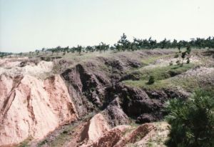 三河—平谷地震遺蹟