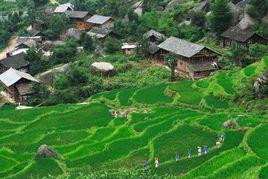 隆回花瑤旅遊度假區