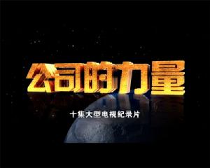 《公司的力量》[電視紀錄片]