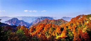 光霧山國家AAAA級旅遊景區