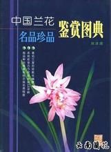 《中國蘭花名品珍品鑑賞圖典》