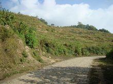 進村道路