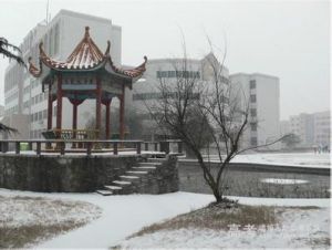 湖南文理學院芙蓉學院