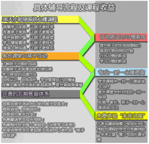 具體輔導流程及課程收益預期