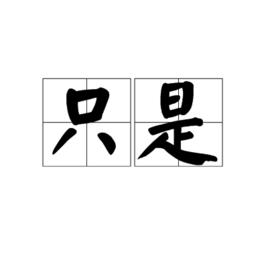 只是[漢語詞語]