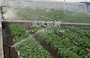 農業灌溉——武漢環潤