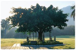 深圳仙湖植物園