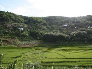 龍秋中寨村