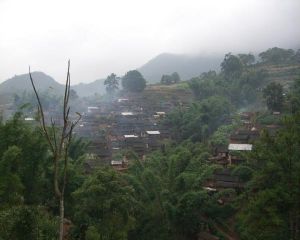 茂密村