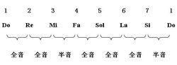 自然大調音階組成方式