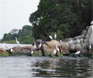 魯邦多島國家公園