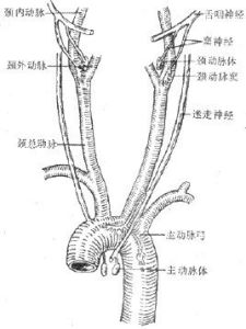 化學感受器