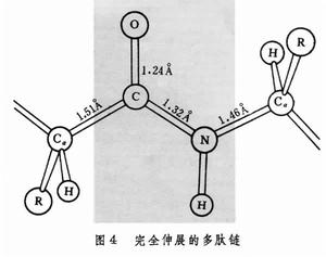 蛋白質晶體化學