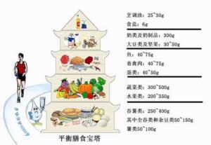 營養平衡型膳食結構