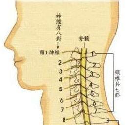 肩背部沉重感