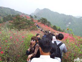 龜峰山風景區