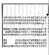 道光平南縣誌記載