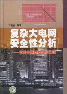 《複雜大電網安全性分析：智慧型電網的概念與實現》