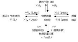 m[摩爾質量]