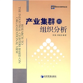 產業集群的組織分析