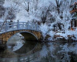 望溪公園