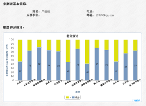 單人測評報告