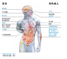 男士吸二手菸的危害