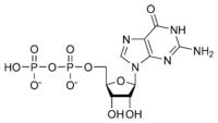GDP[二磷酸鳥苷]