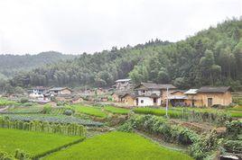 黃陂村[湖北省武漢市洪山區左嶺鎮下轄村]