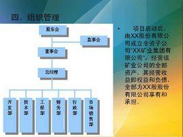 項目商業計畫書