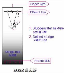 EGSB反應器