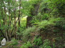 桃花山森林公園