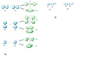 分子量子數