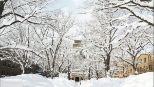 北海道藥科大學