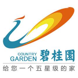 碧桂園[廣東房地產企業]