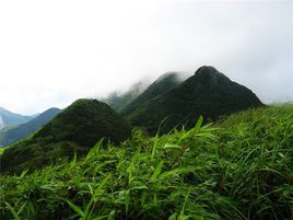 七娘山[湖北省黃岡市羅田縣九資河鎮下轄村]