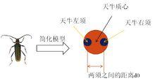 簡化模型