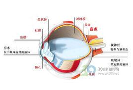 視覺盲點