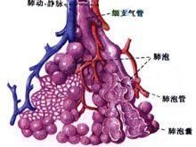 肺泡蛋白沉積症