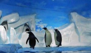 三亞南極企鵝冰上樂園