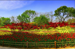 濟南植物園