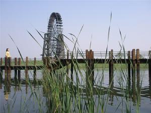 蘇州太湖濕地公園