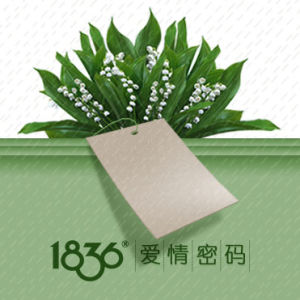 1836愛情密碼