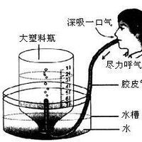 基本電節律