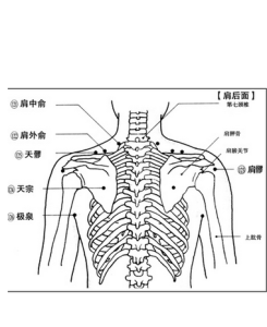 肩中俞