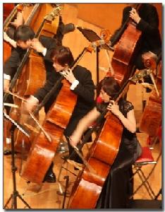 武漢樂團官方網站圖片