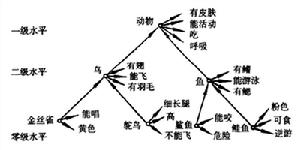 長時記憶中概念的層次化組織